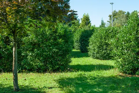 Wohnmobilstellplatz Villa Toskana