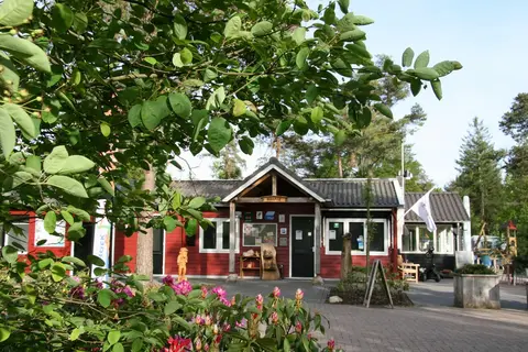 Torentjeshoek