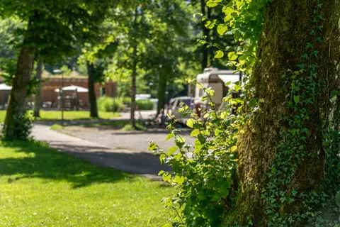 Camping Dornbirn