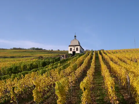 Aire de Domaine Xavier Muller - Marlenheim