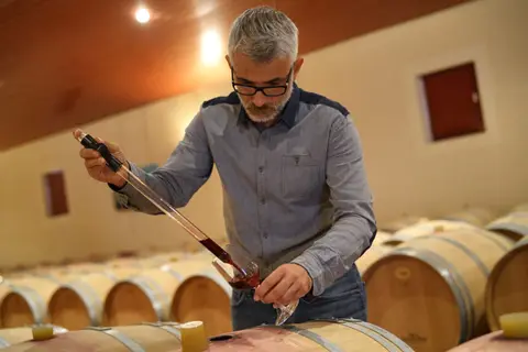 Aire de Domaine Xavier Muller - Marlenheim