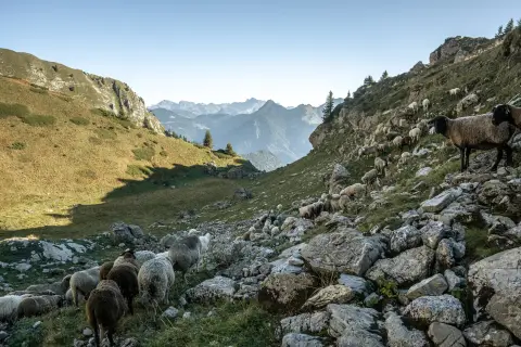 Le Solerey