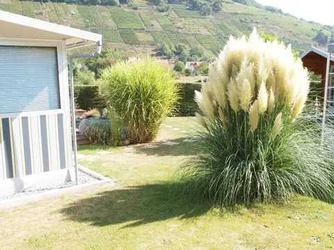 Campingplatz Mainruh