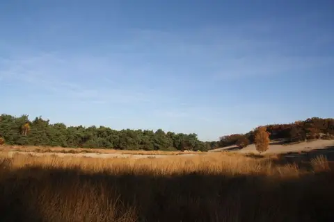 Leijland