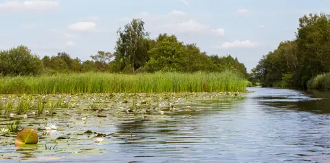 Tussen de Diepen