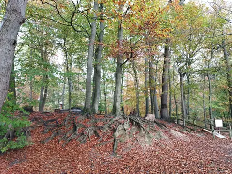 Camping de Lubert Groesbeek