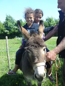 Camping De Puthorst