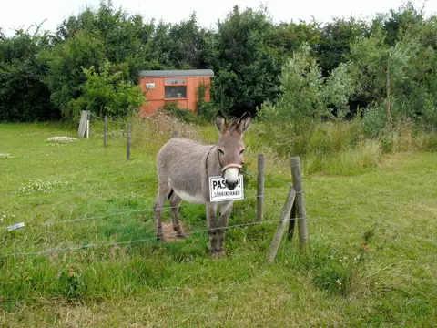 Camping De Puthorst