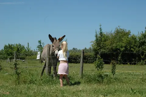 Camping De Puthorst