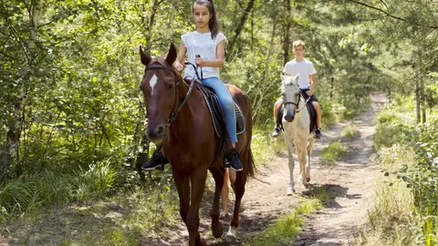 Camping de Blauwe Lantaarn