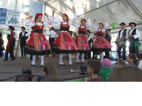Camping municipal de Gambsheim