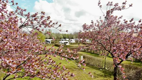 Ferien- und Campingpark Wisseler See