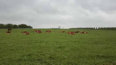Mescherhei