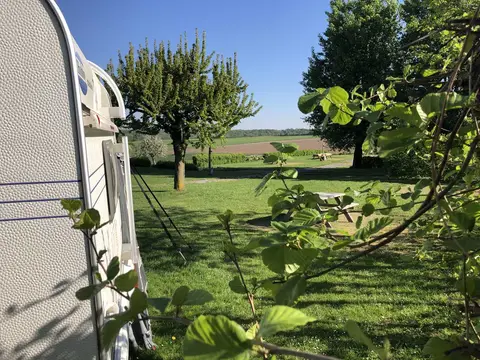 Mescherhei