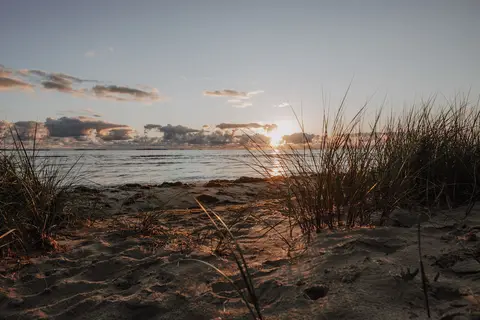 Wildwood Camping Lüneburger Heide