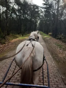Minicamping Aelderveen