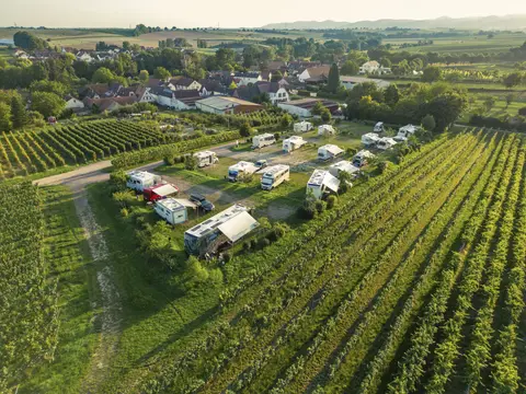 Wohnmobil Stellplatz Dierbach Weingut Geiger