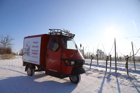 Wohnmobil Stellplatz Dierbach Weingut Geiger