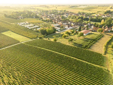 Wohnmobil Stellplatz Dierbach Weingut Geiger