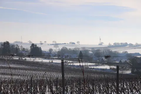 Wohnmobil Stellplatz Dierbach Weingut Geiger