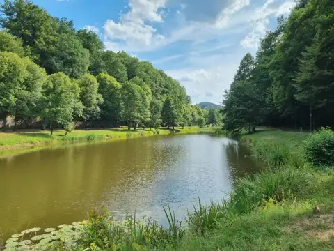 Lemberger Weiher