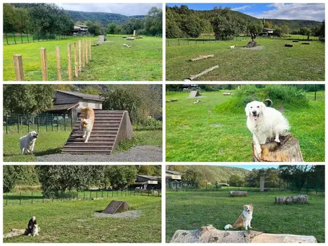 Camping- & Ferienpark Teichmann