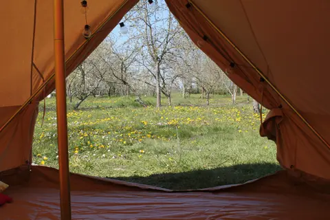 Boerderijcamping de Hank