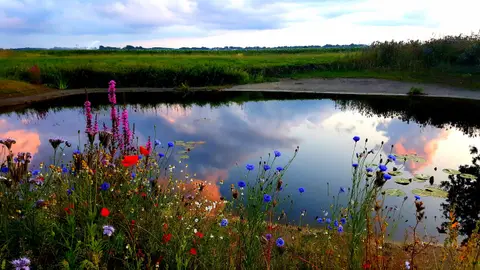 Camping Annerveenschekanaal