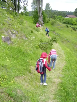 Kinder- & Jugendzeltplatz Haselbrunn