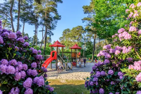 Vakantiepark Diana Heide
