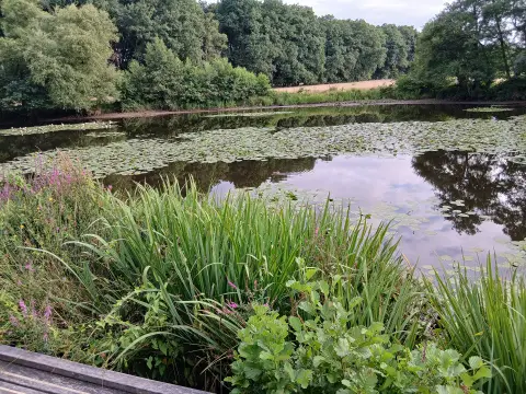 Nieuw Beekdal