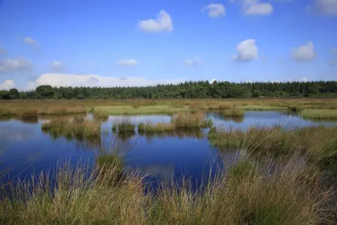 De Hondsrug