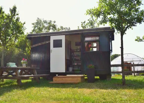 Camping de Balloohoeve