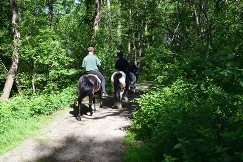 Camping de Balloohoeve