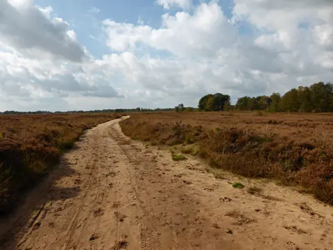 Camping de Balloohoeve