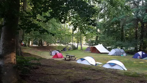 Boscamping Appelscha