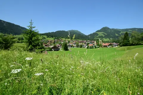Rieder Wiesen