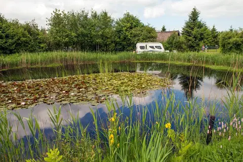 Landgoed Tolhek