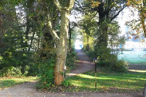 Buhnenhaus Camping