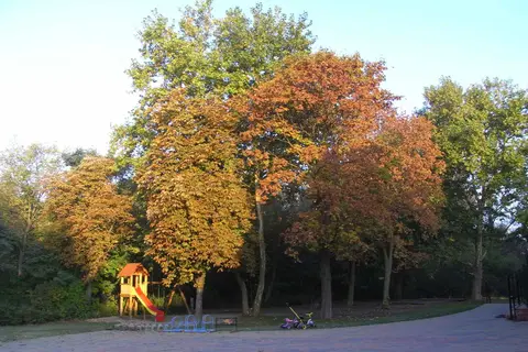 Buhnenhaus Camping