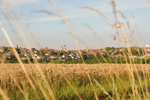 Festplatz/Unterriexinger Straße Markgröninger