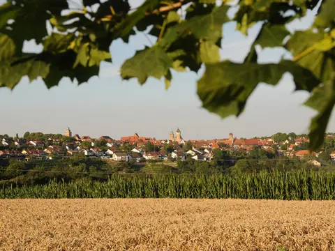 Festplatz/Unterriexinger Straße Markgröninger