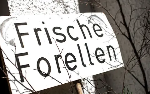 Stellplatz Friesenmühle