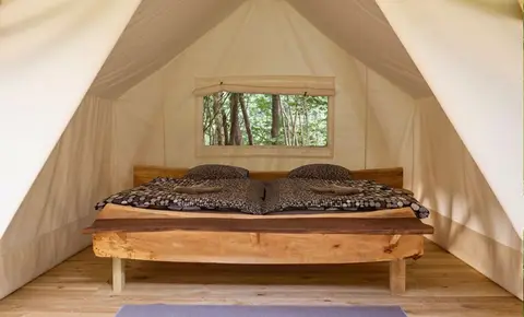 Adrenaline-check Eco Place