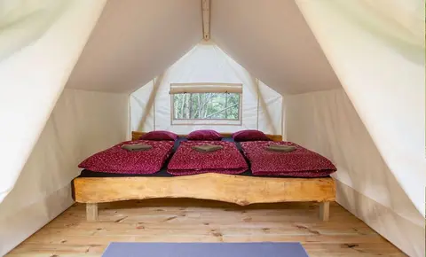 Adrenaline-check Eco Place