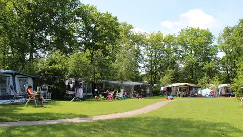 Molecaten Park 't Hout