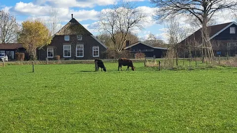 Boerencamping Remmelink
