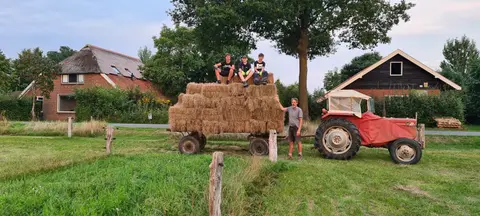 Boerencamping Remmelink
