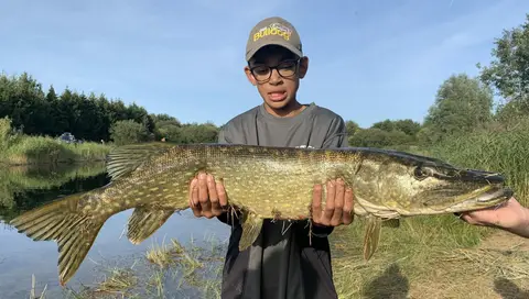 Rodekro Fiskepark