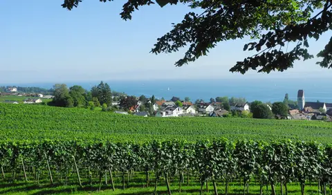 Campingplatz Schloss Kirchberg